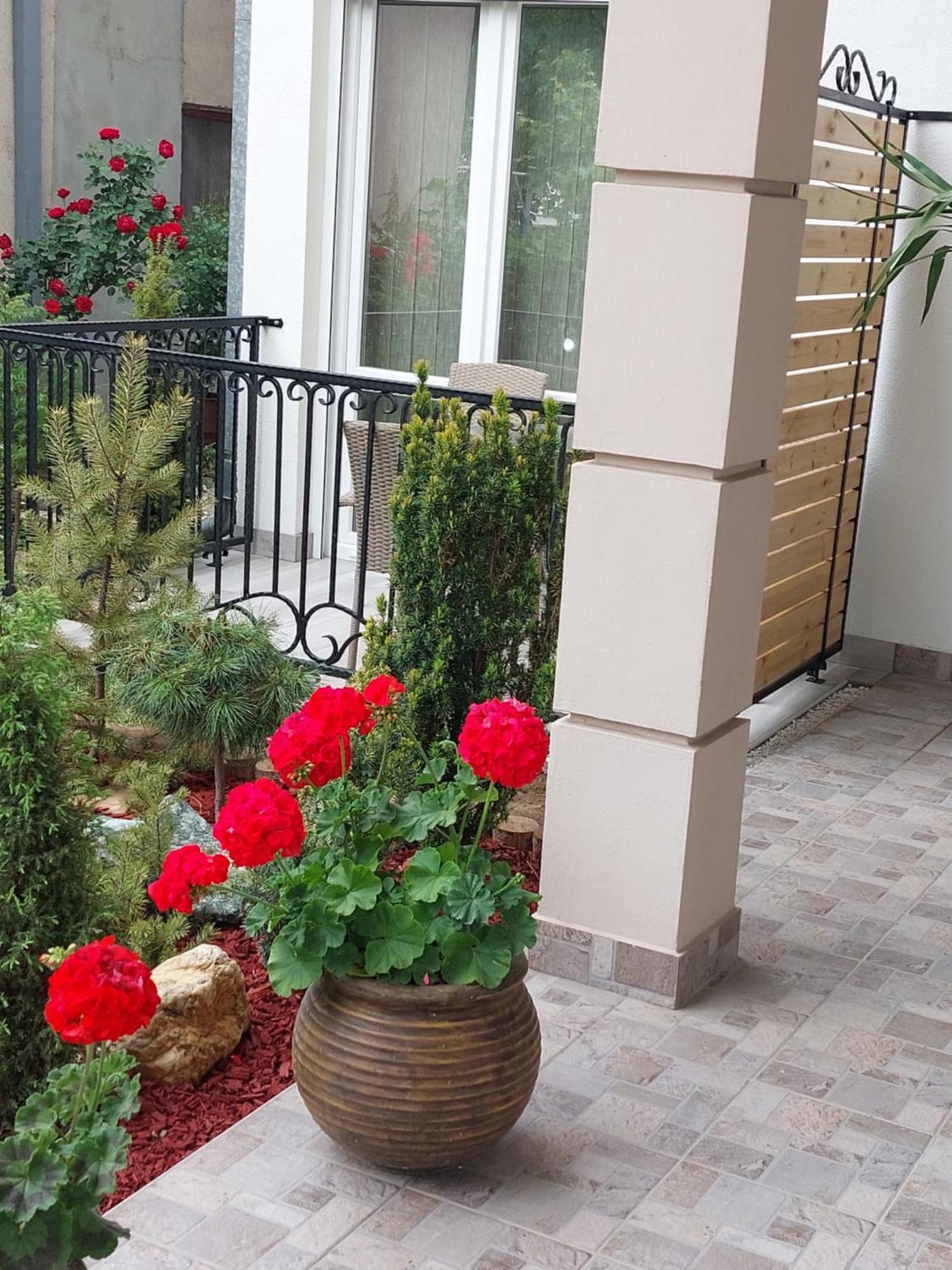 Apartmani Radulovic Vrnjacka Banja Bilik gambar