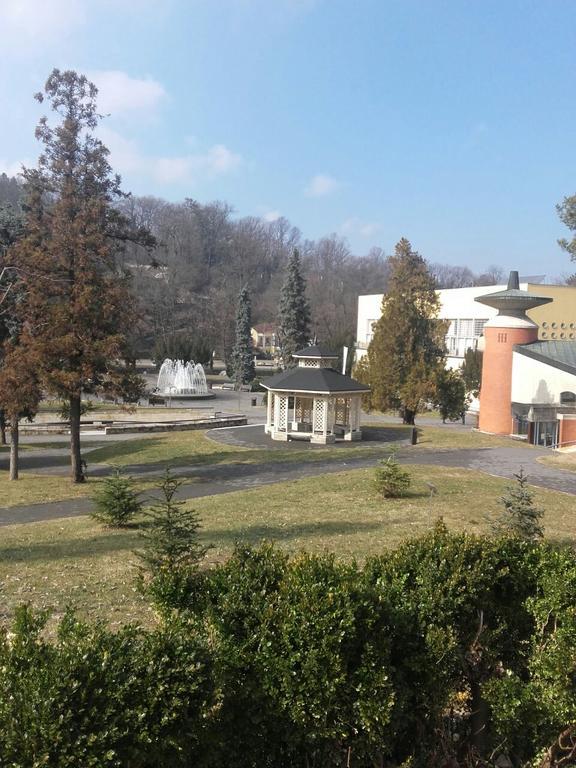Apartmani Radulovic Vrnjacka Banja Luaran gambar