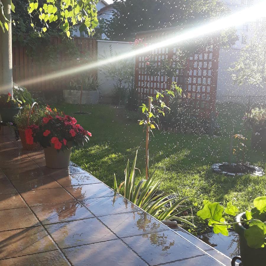 Apartmani Radulovic Vrnjacka Banja Luaran gambar