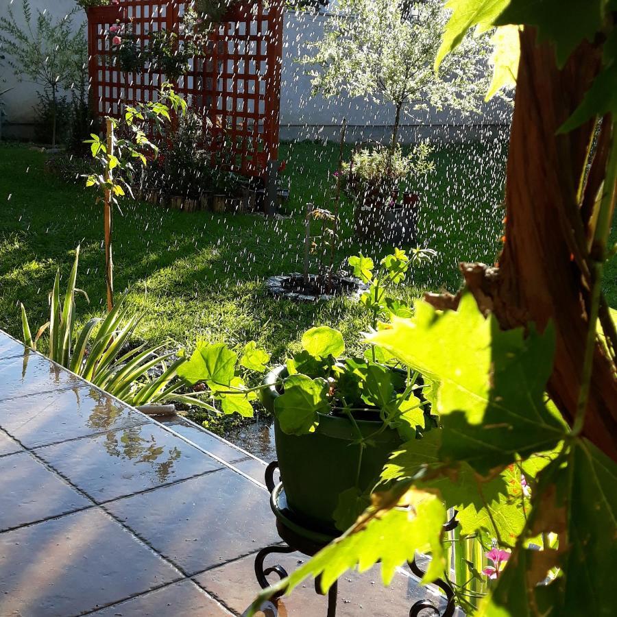 Apartmani Radulovic Vrnjacka Banja Luaran gambar